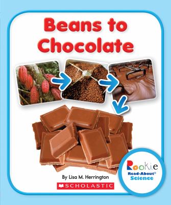 Beans to chocolate