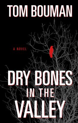 Dry bones in the valley : a novel