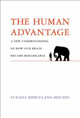The human advantage : a new understanding of how our brain became remarkable