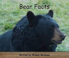 Bear facts