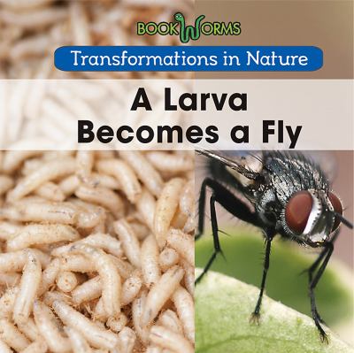 A larva becomes a fly