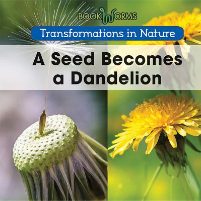 A seed becomes a dandelion