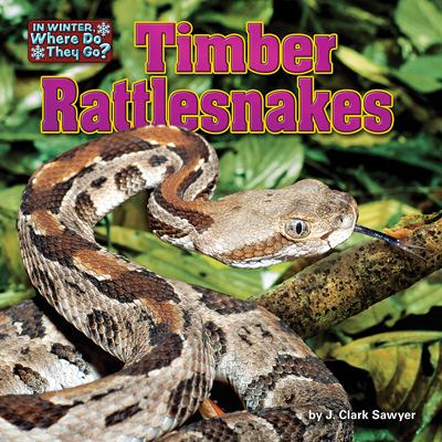 Timber rattlesnakes