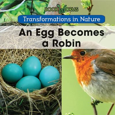 An egg becomes a robin