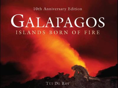 Galapagos : islands born of fire
