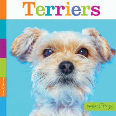 Terriers