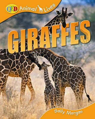 Giraffes