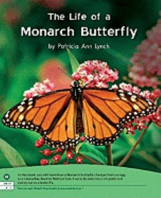 The life of a Monarch butterfly
