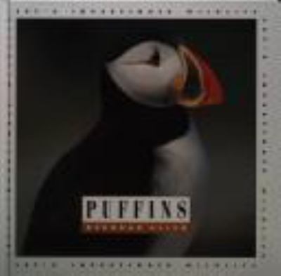 Puffins