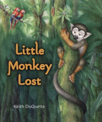 Little Monkey lost