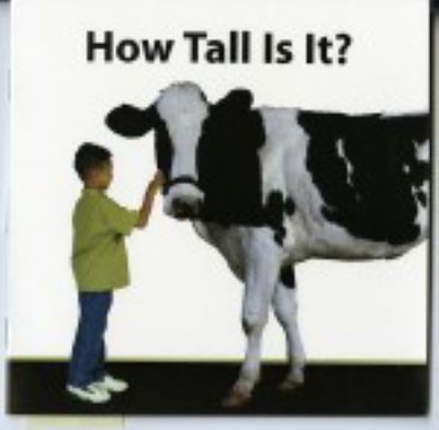 How tall is it?