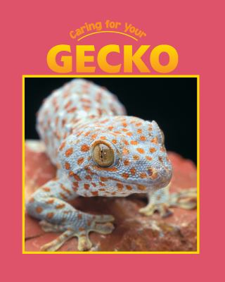 Caring for your gecko