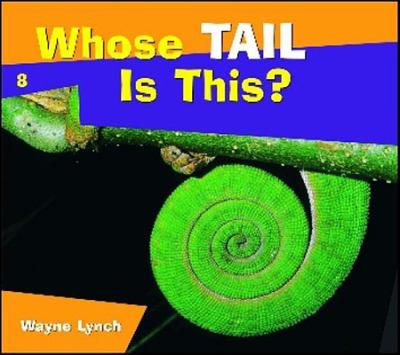 Whose tail is this?