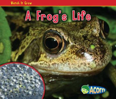 A frog's life