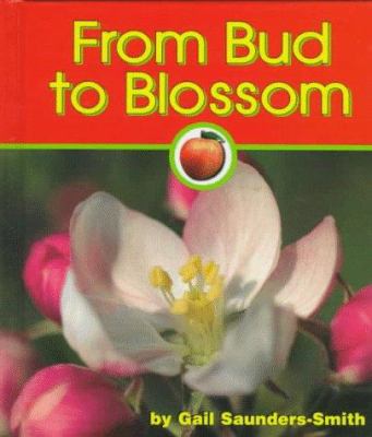 From bud to blossom