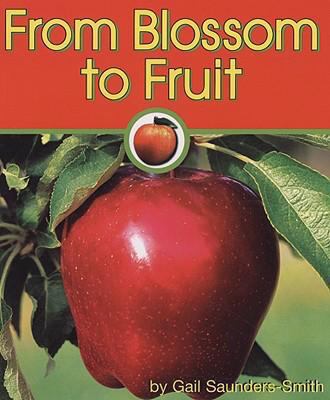 From blossom to fruit