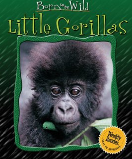 Little gorillas