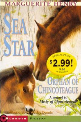 Sea star : Orphan of Chincoteague
