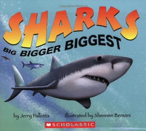 Sharks : big, bigger, biggest