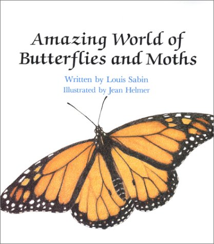 Amazing world of butterflies and moths