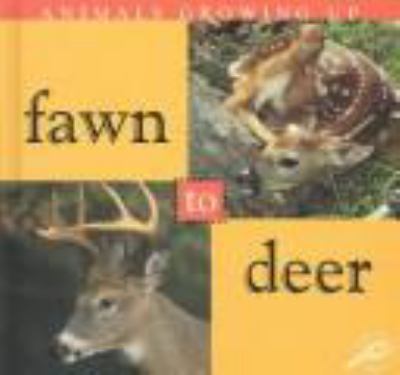 Fawn to deer