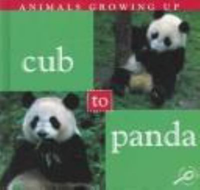 Cub to panda