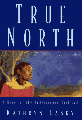 True north : a novel of the Underground Railroad