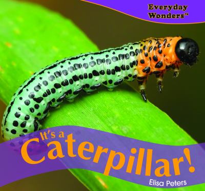 It's a caterpillar!