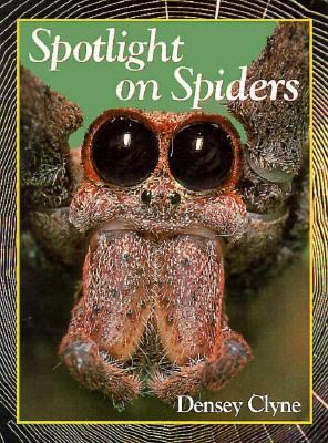 Spotlight on spiders