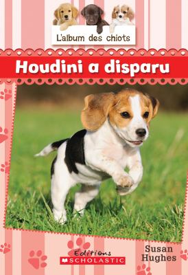 Houdini a disparu