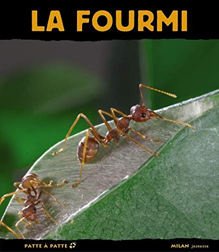 La fourmi