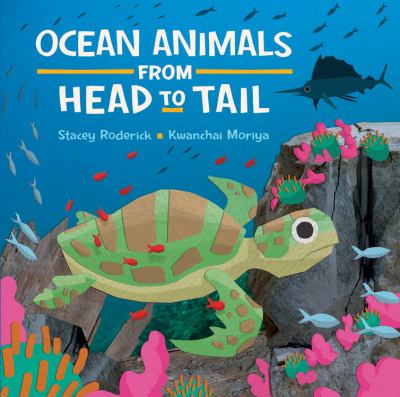 Ocean animals from head to tail