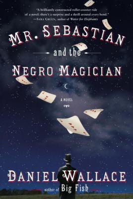 Mr. Sebastian and the negro magician : a novel