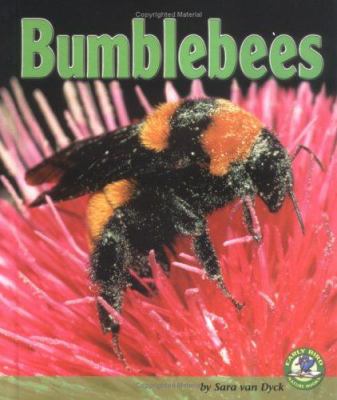 Bumblebees