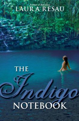 The indigo notebook