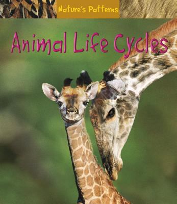 Animal life cycles
