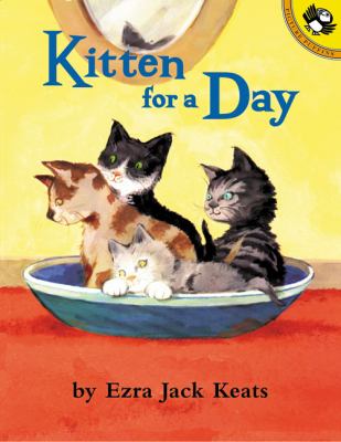 Kitten for a day