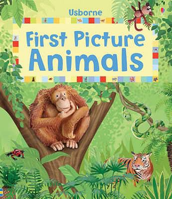 First picture animals