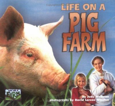 Life on a pig farm