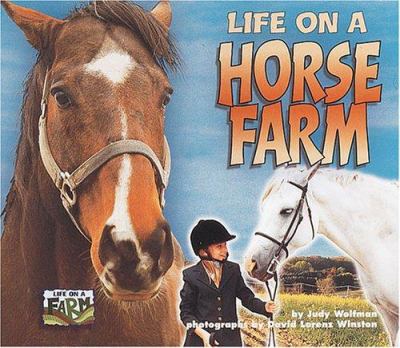 Life on a horse farm