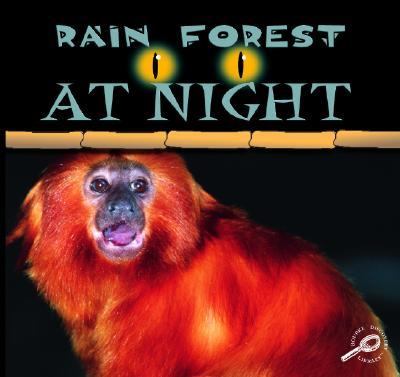 Rain forest at night : rain forests today
