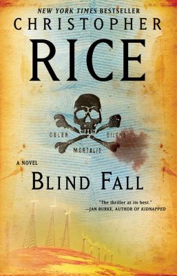 Blind fall : a novel