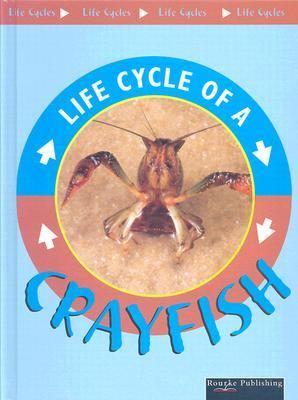 Crayfish