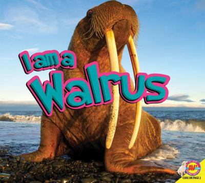 I am a walrus