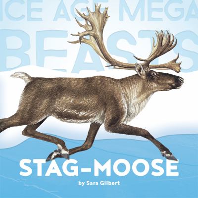 Stag-moose