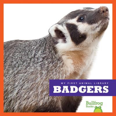 Badgers