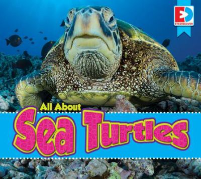 All about sea turtles.