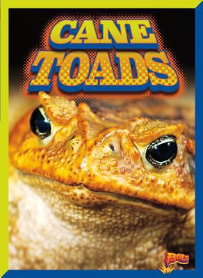 Cane toads