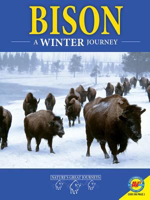 Bison : a winter journey