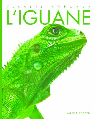 L'iguane